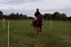 hubertusreiten_2012_016
