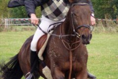 hubertusreiten_2012_019