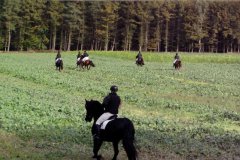 hubertusreiten_2012_031