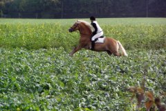 hubertusreiten_2012_032