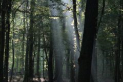 hubertusreiten_2014_005