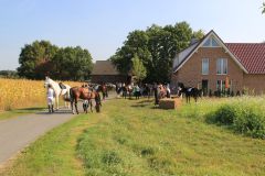 Hubertusreiten_2016_12