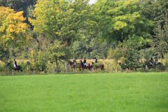Hubertusreiten_2017_16
