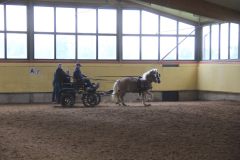 Hubertusreiten_2017_29