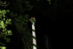 2026-06_Schuetzenfest058